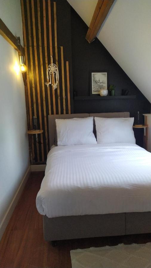 شقة Loft De La Raquette مونس المظهر الخارجي الصورة